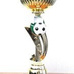 Первое место в первенстве Петровского района по футболу 2010 год